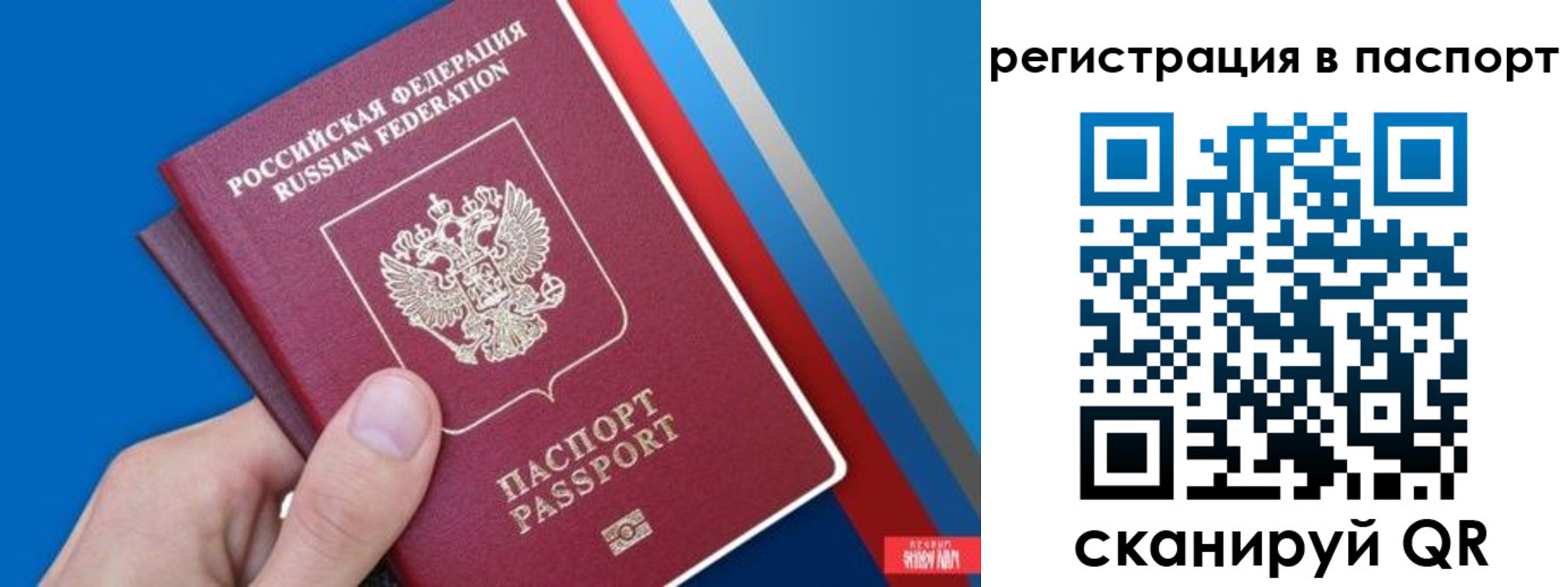 прописка для школы в Изобильном